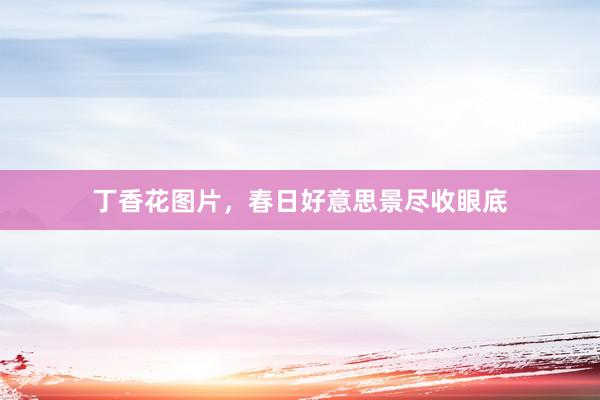 丁香花图片，春日好意思景尽收眼底