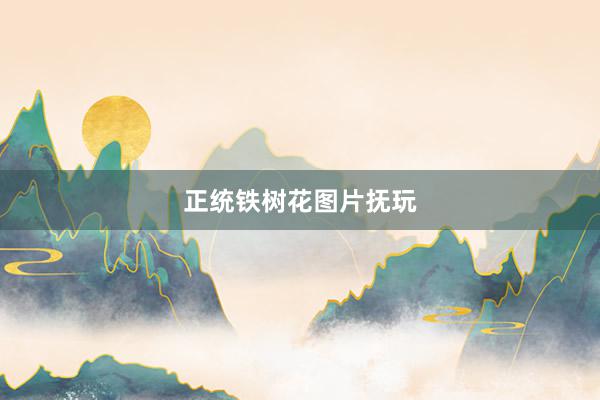 正统铁树花图片抚玩